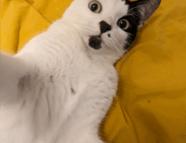 dowsstrike2045 python