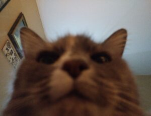 why should i buy civiliden ll5540