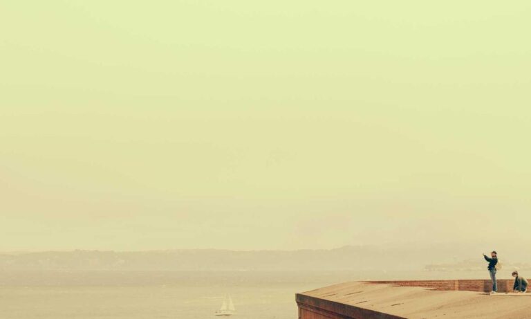 yonke el pulpo en los angeles