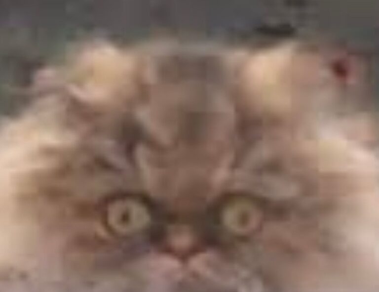 dismoneyfied economy guide by diquantified