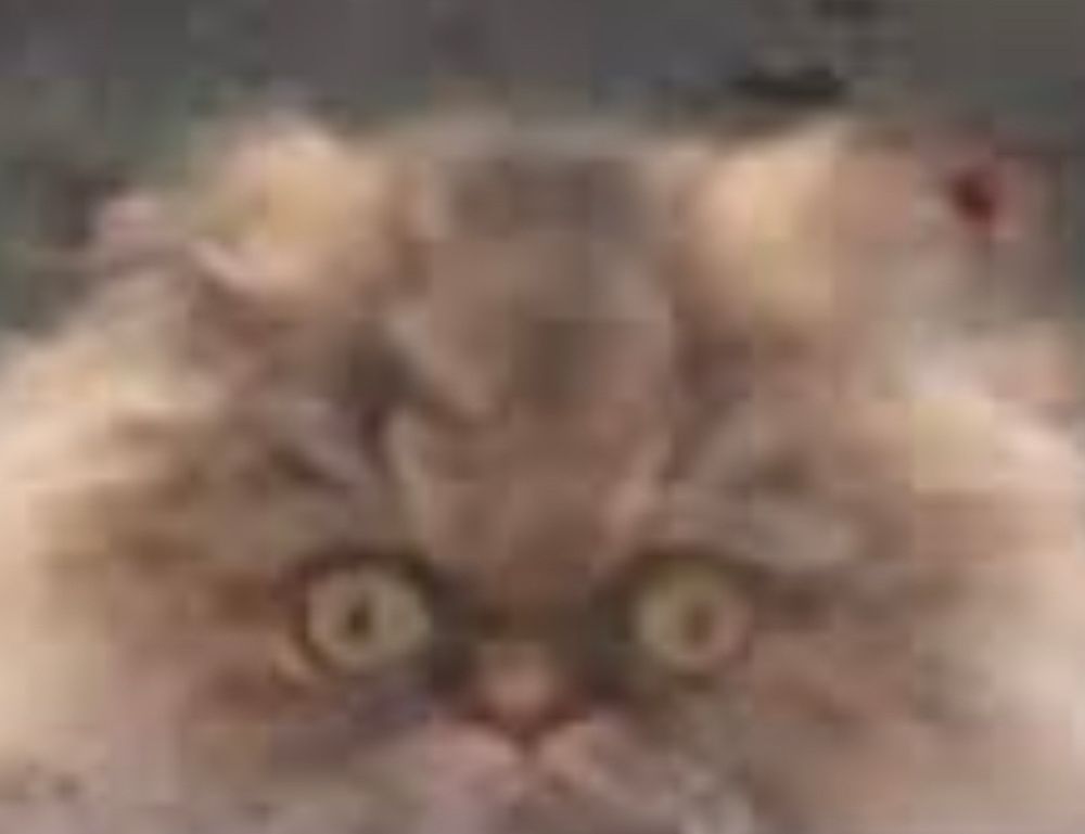 dismoneyfied economy guide by diquantified