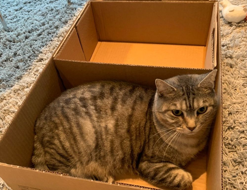 economy guide dismoneyfied