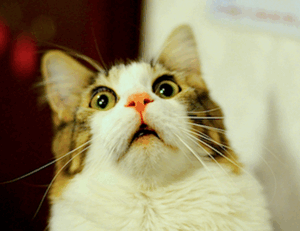 how to calculate taxes aggr8taxes