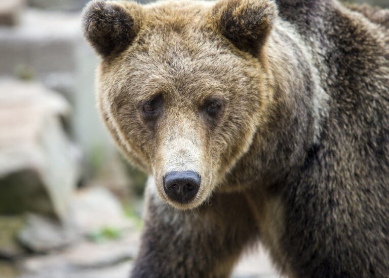 investment guide dismoneyfied