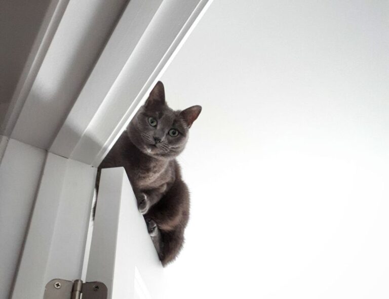 investment savings aggr8taxes