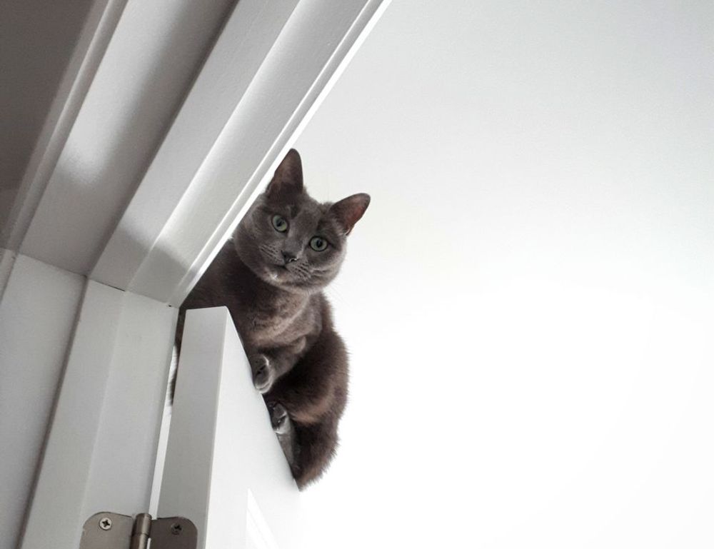 investment savings aggr8taxes