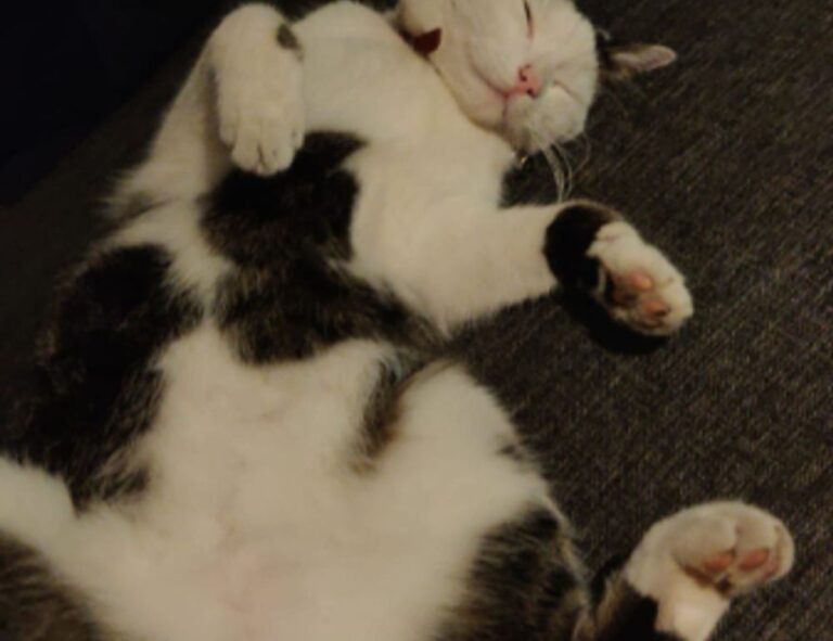 land contracts aggr8taxes