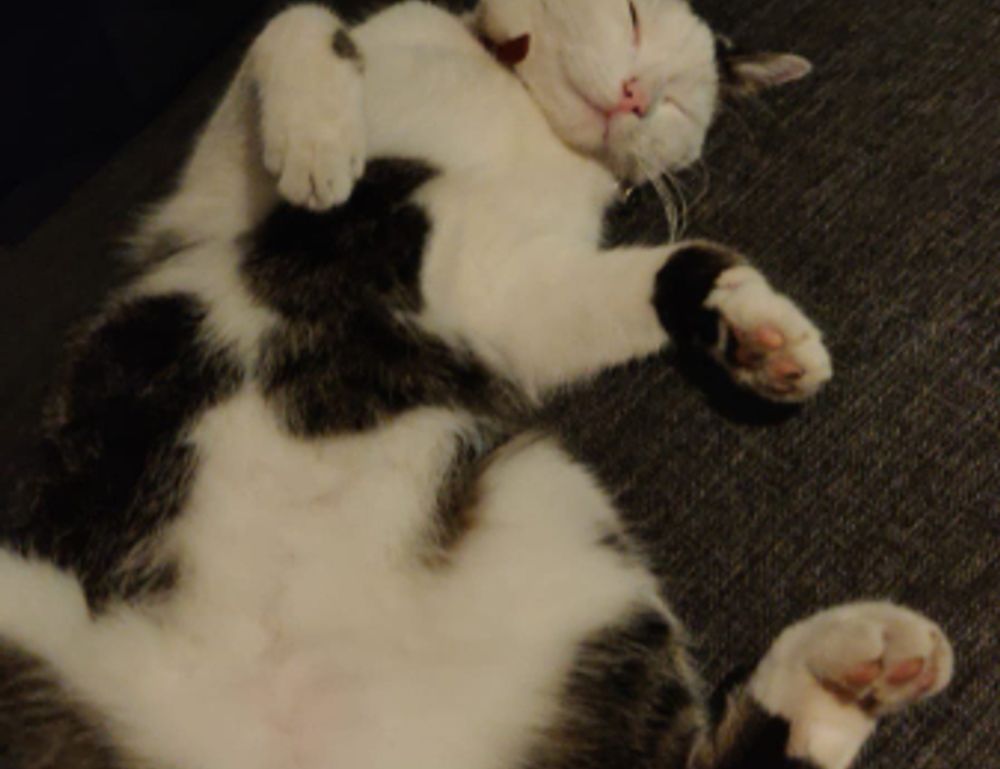 land contracts aggr8taxes