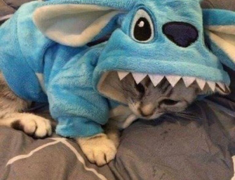 money tips dismoneyfied