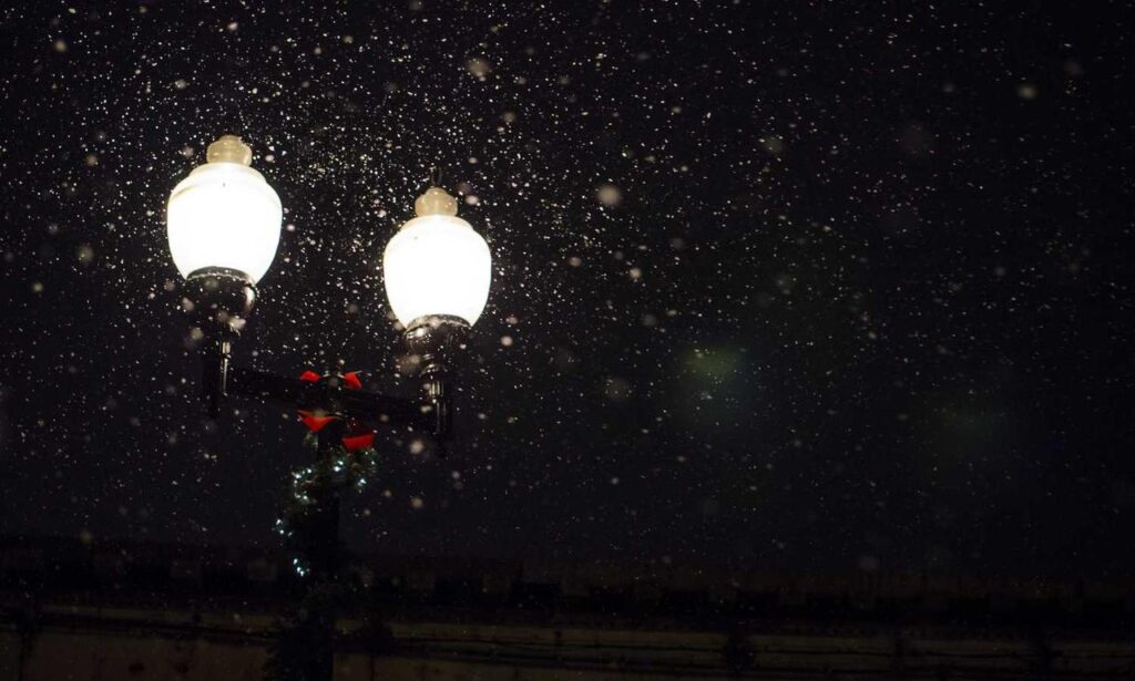 what investment should i start with dismoneyfied