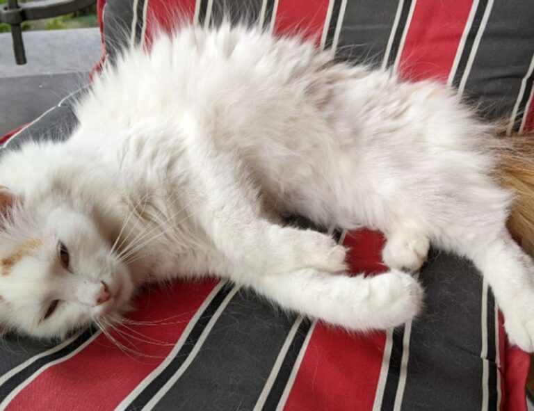 when to change investment strategy dismoneyfied