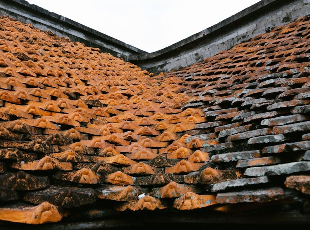 Why Choose Ocvibum Wealth Management