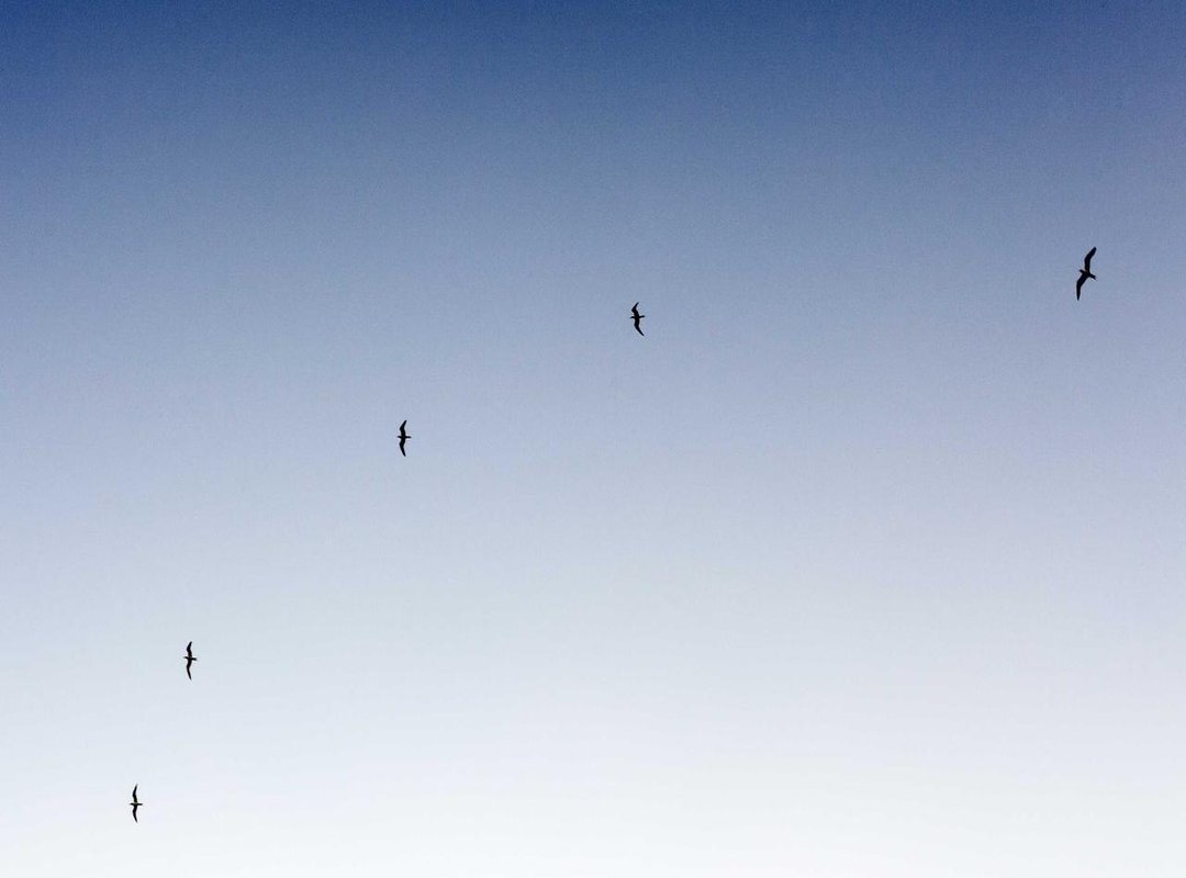 Implementing Hedging Strategies: A Step-by-Step Guide