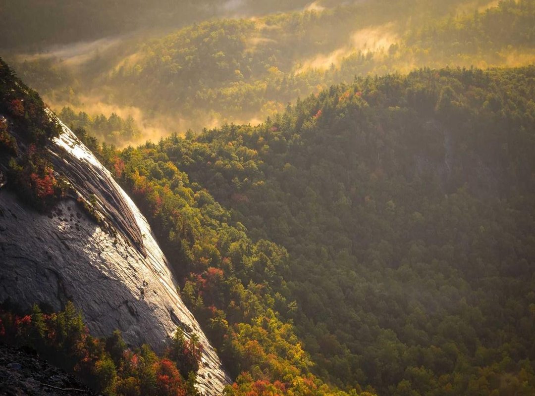 Top Picks: Alternative Luxury Sports Cars in Sri Lanka