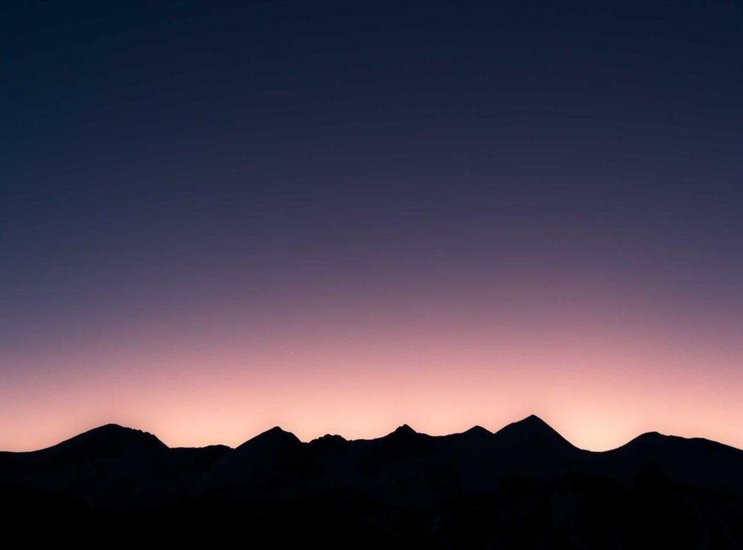 Why Her Tweets Resonate: Key Themes and Popular Discussions