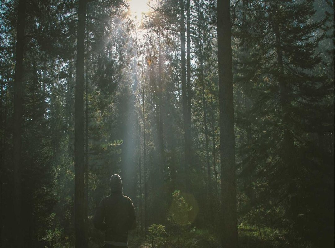 Exploring Your Options: Derrumal 300 vs. Common Alternatives