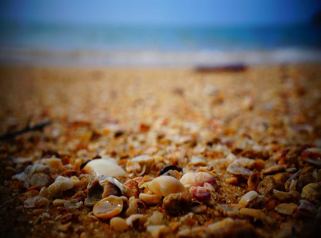 The Key Benefits: What to Expect from Desodalina