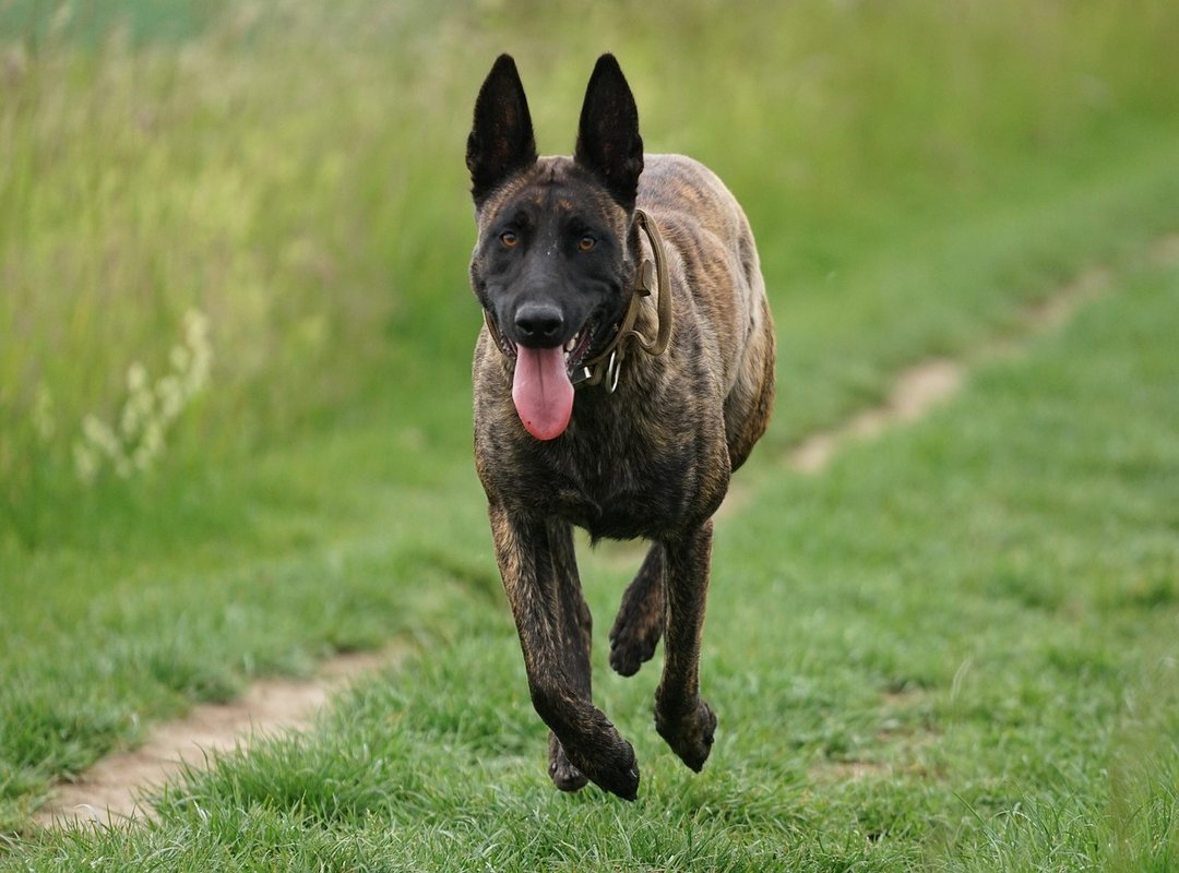 A Quick Guide to Watching on FlixHQ