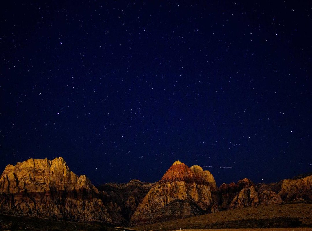 Get the Look for Less: Stylish and Inexpensive Planter Types