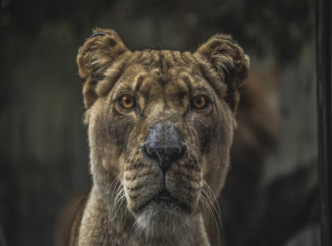 Secret Spots: Finding Rare and Hidden Clothing Items