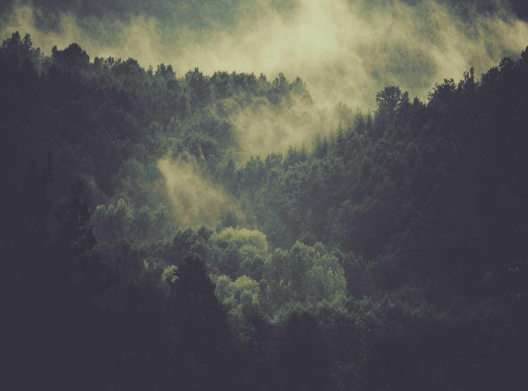 How to Use the Chart: A Step-by-Step Guide