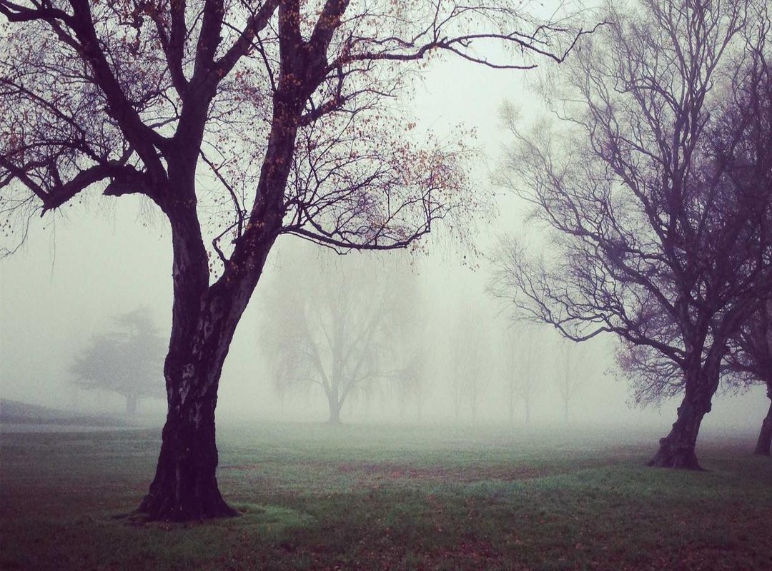 The Honest Breakdown: Weighing the Pros and Cons