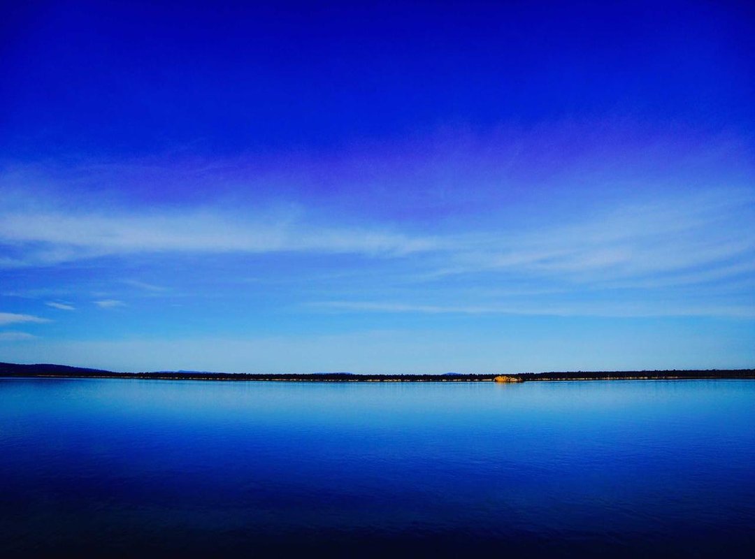 Frequently Asked Questions (FAQs)