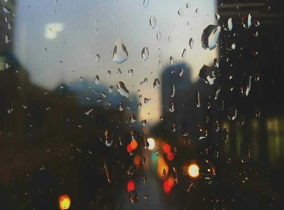 Beyond 3 Letters: Other Common Wildebeest Crossword Answers